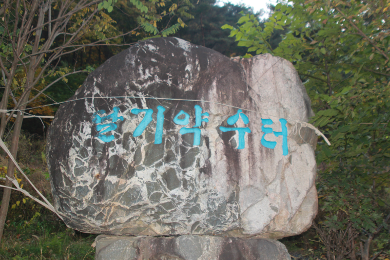 IMG_3110.png