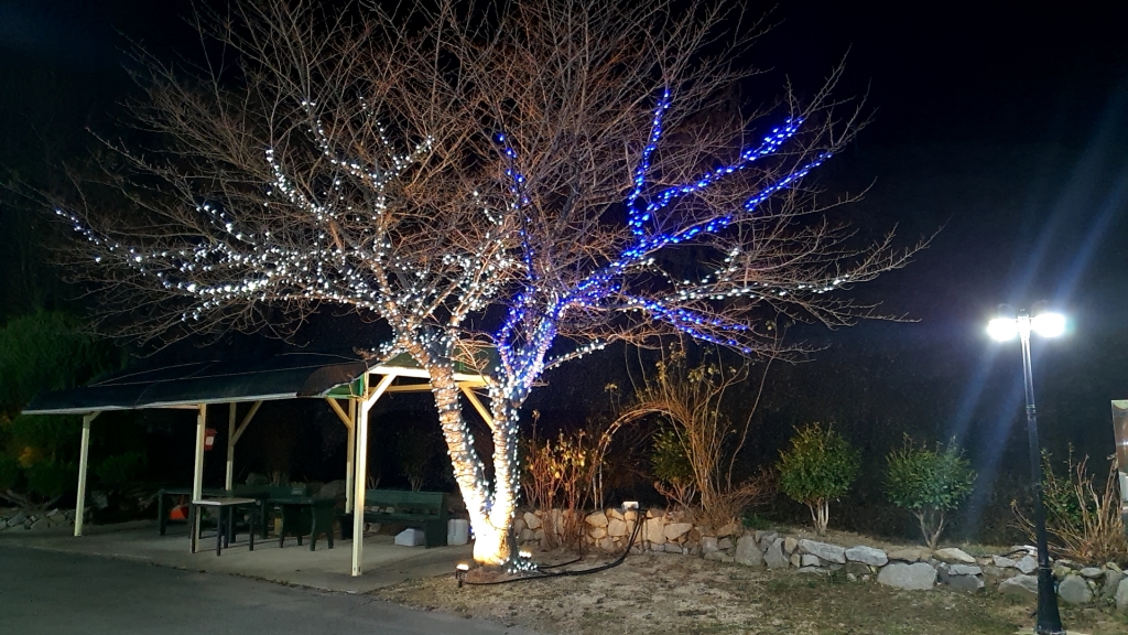 KakaoTalk_20230101_214842956_15.jpg