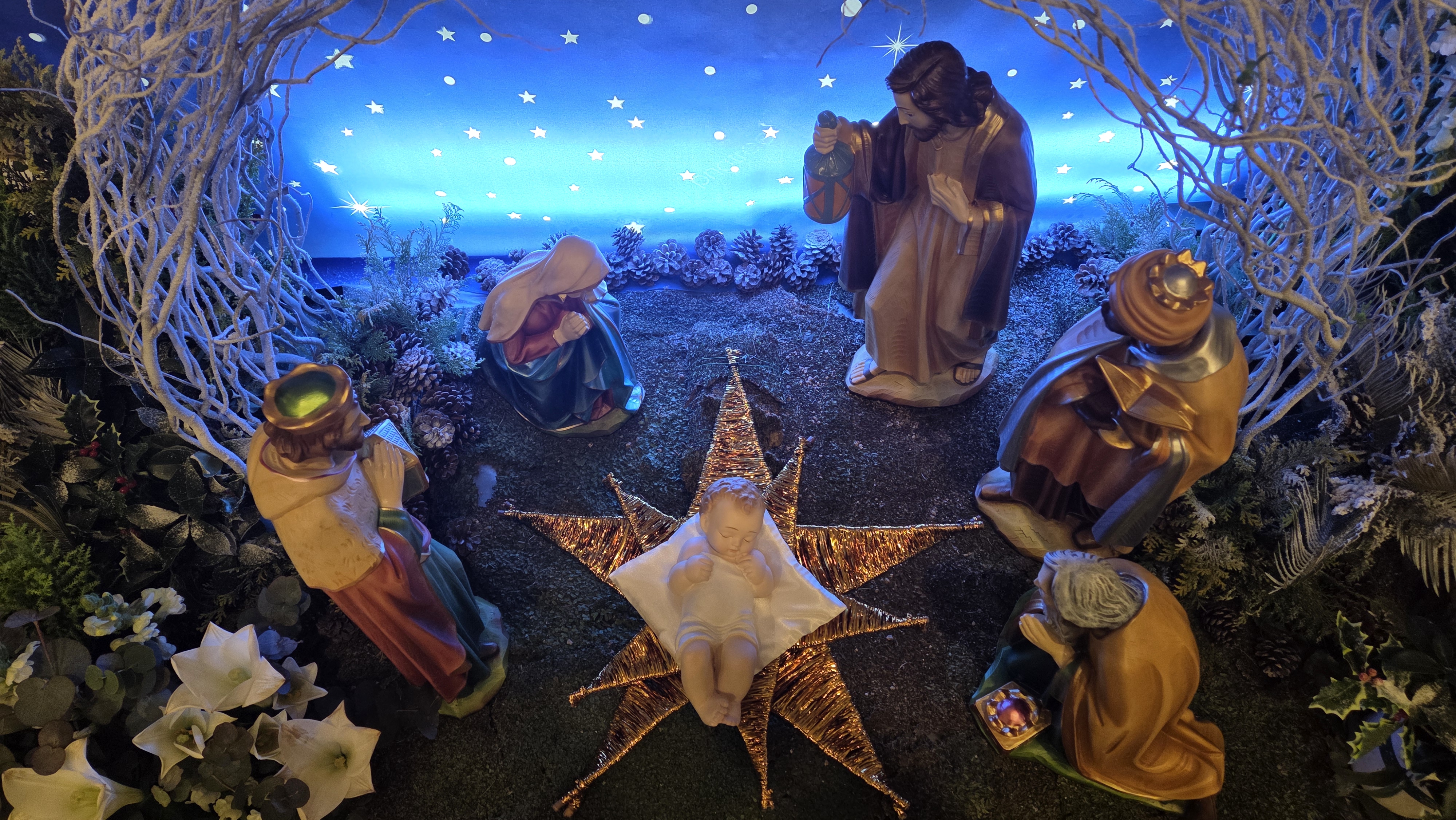 20260101-알렉시오 신부님 1월 사진작품 (11).jpg