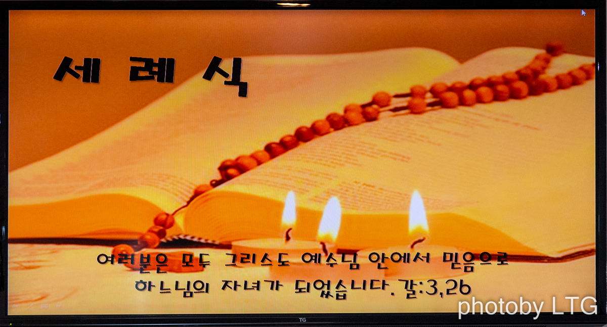 _POT5252-편집.jpg