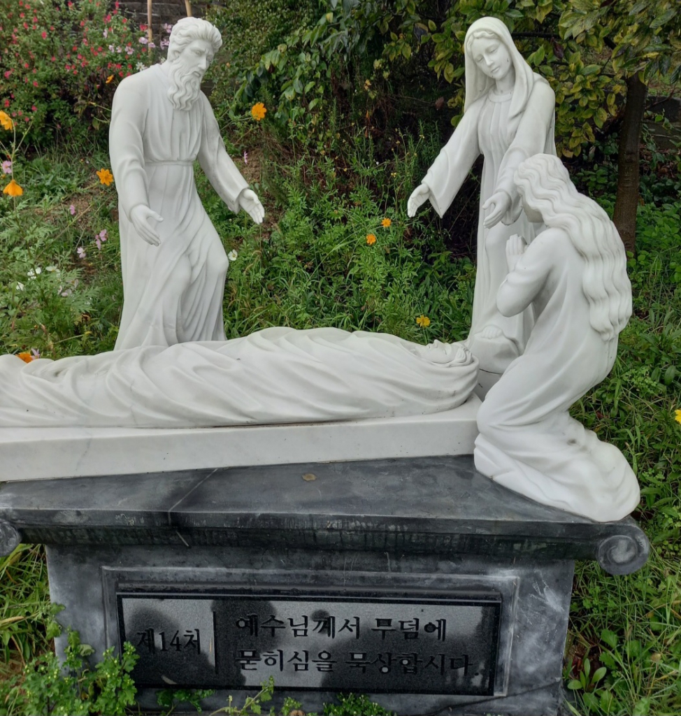 1728997392520-2.jpg