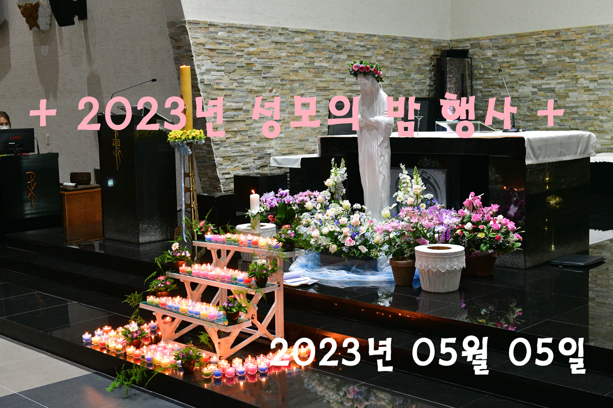 DSC_2277L.JPG