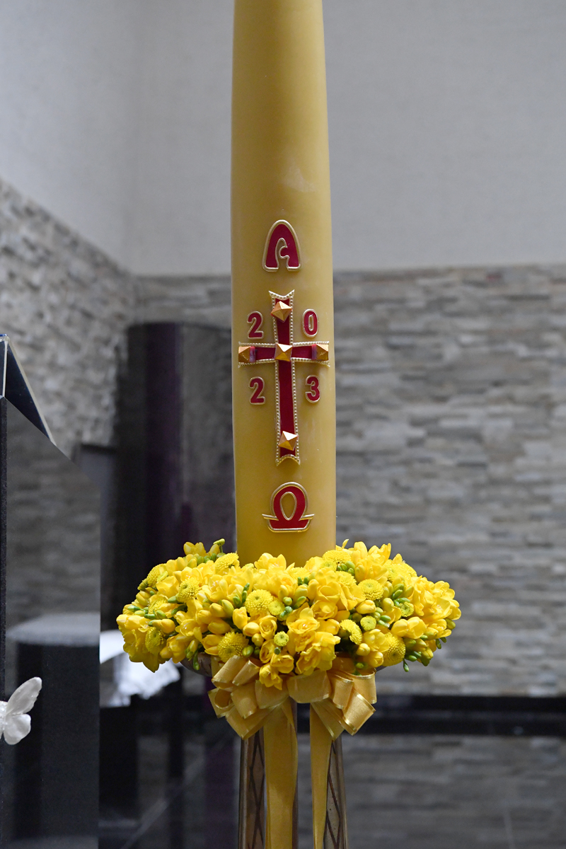 DSC_2619.JPG