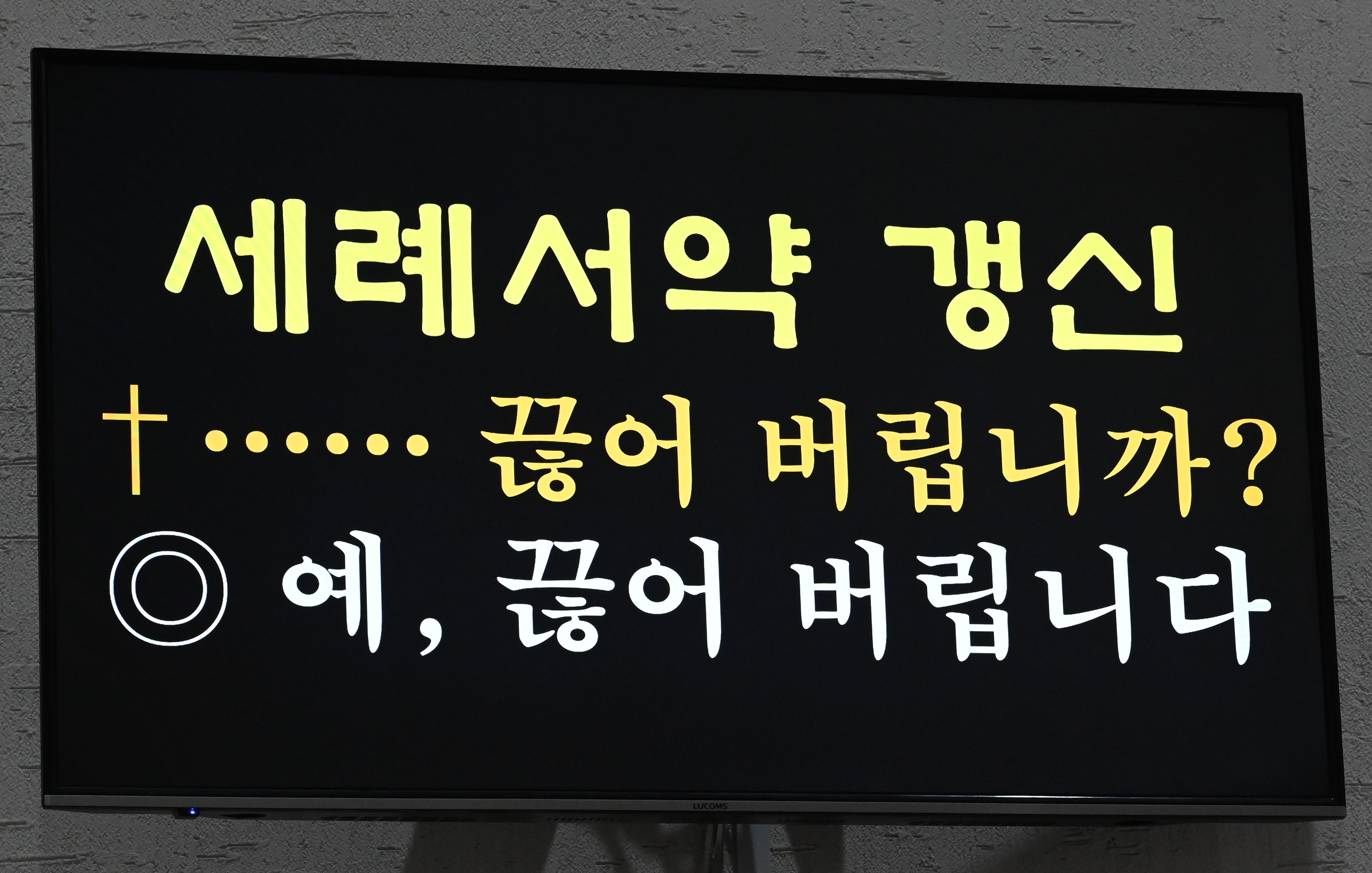 2024년3월30일파스카성야세례갱신질문.JPG