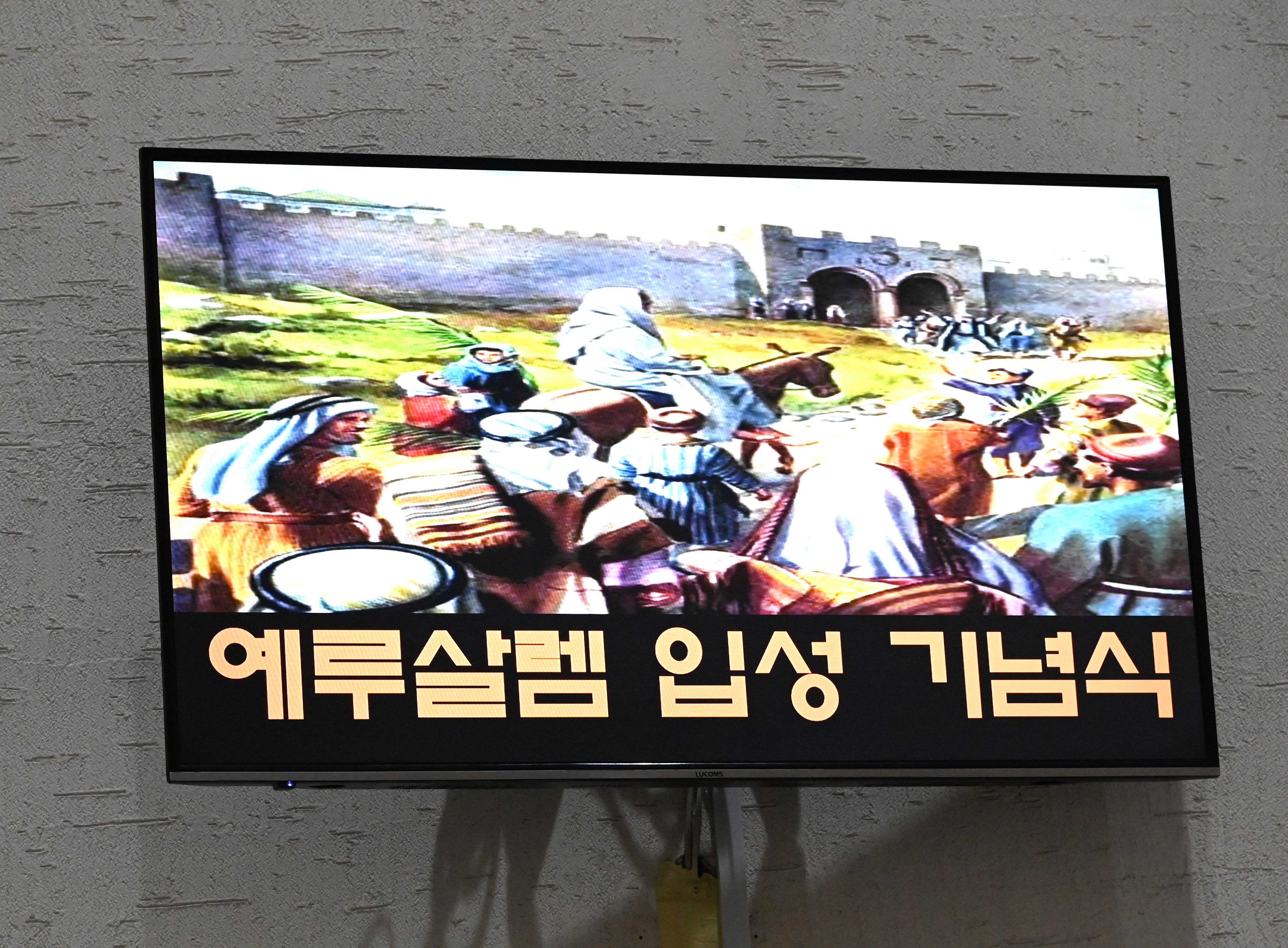 20240324주님수난성지주일표지.jpg