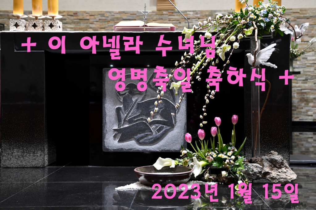 DSC_7487-1f.jpg