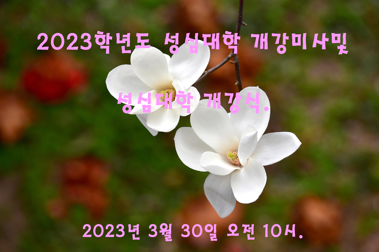 DSC_5195.jpg