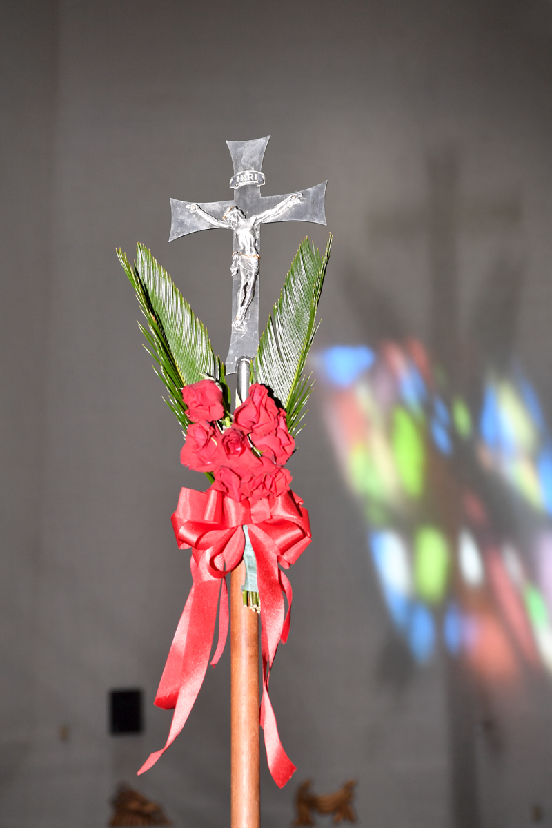 DSC_1170f.jpg