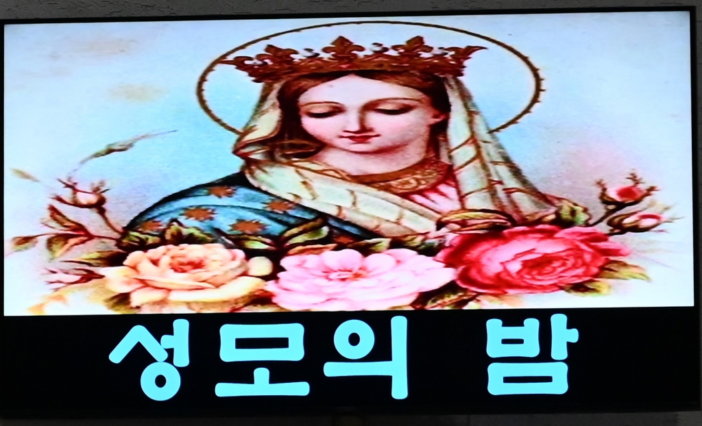 2025년5월2일-성모의밤제목1.JPG