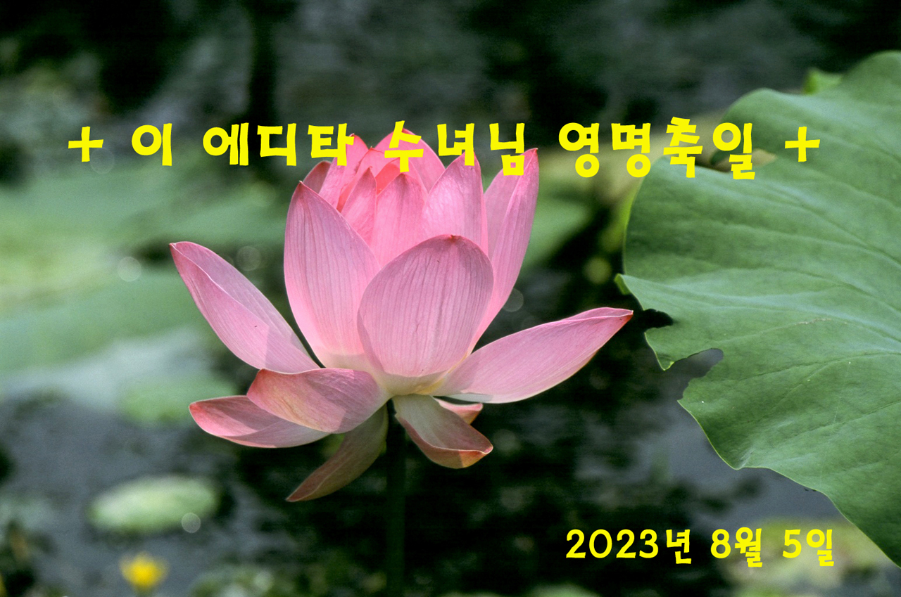57320013J.jpg