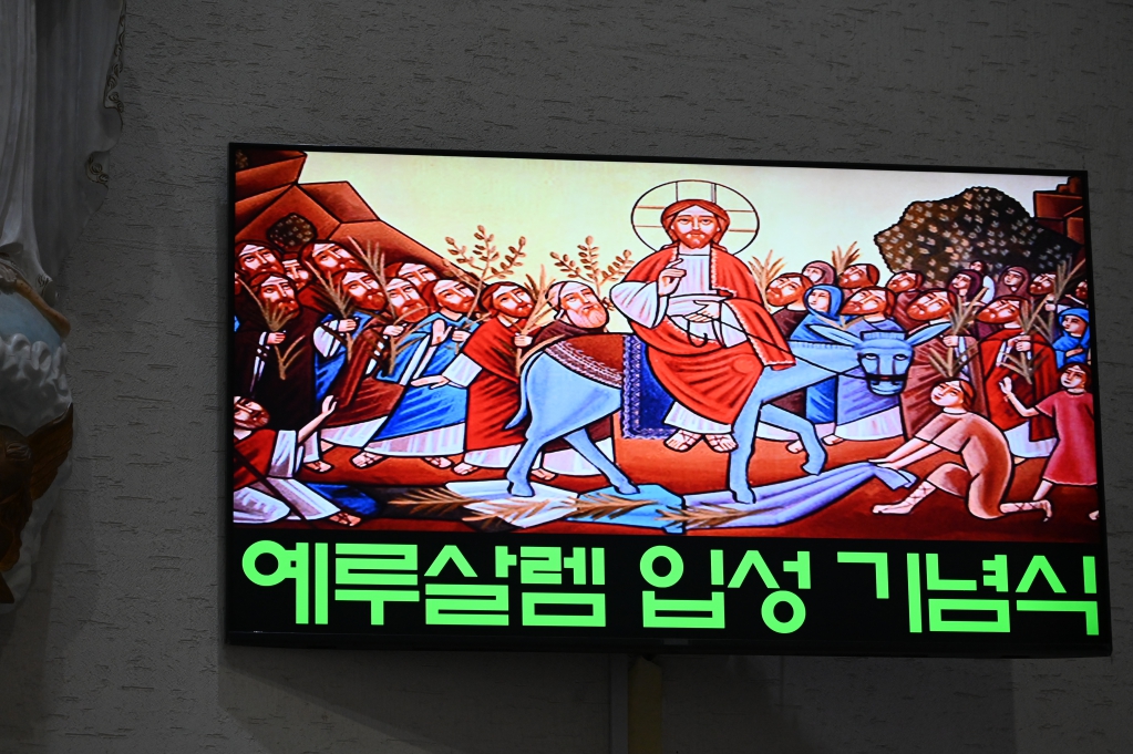 2025년 4월13일-성지주일입성기념식.JPG