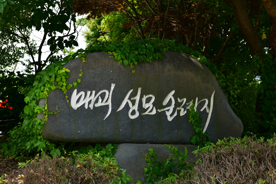 DSC_0043.JPG