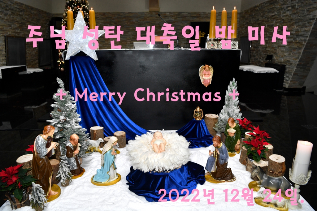 DSC_6411 글자.jpg