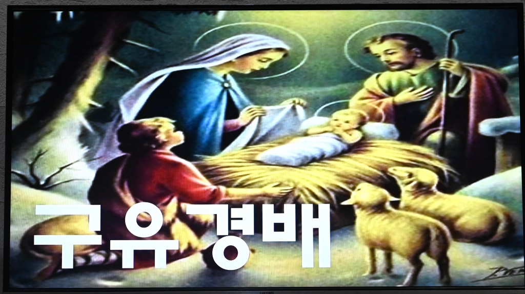 2024년12월24일-성탄밤미사구유경배.JPG
