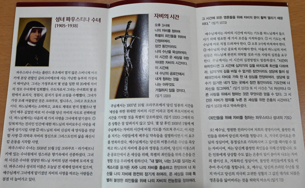 2025년 4월 6일-사순특강파우스티나성녀기도1.JPG