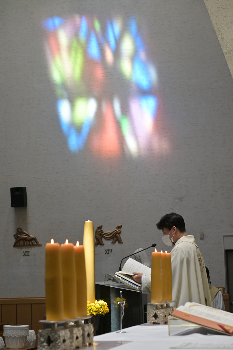 DSC_9781.JPG