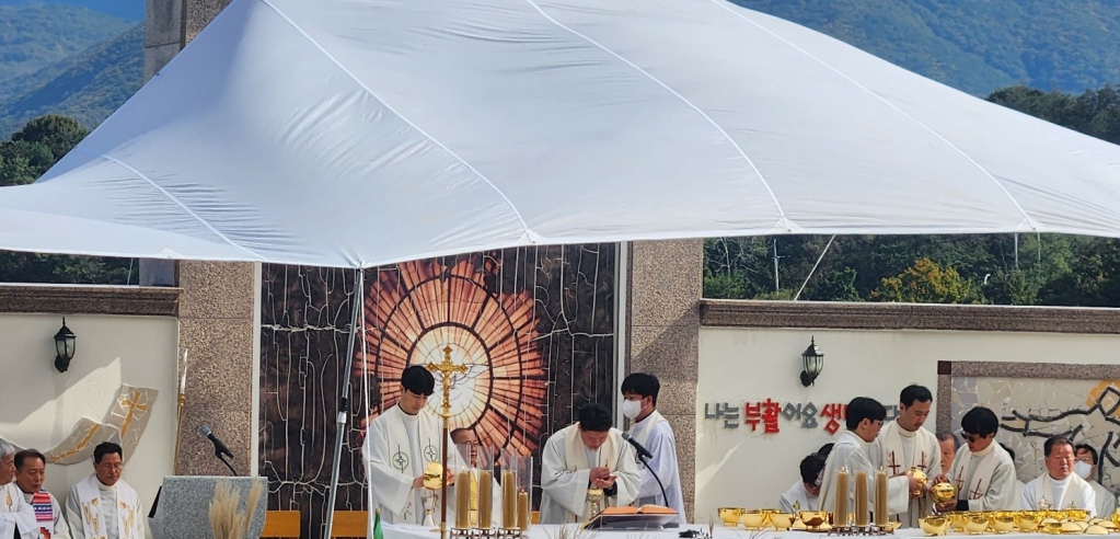 2025년11월3일-하늘공원위령의날미사신부님.jpg