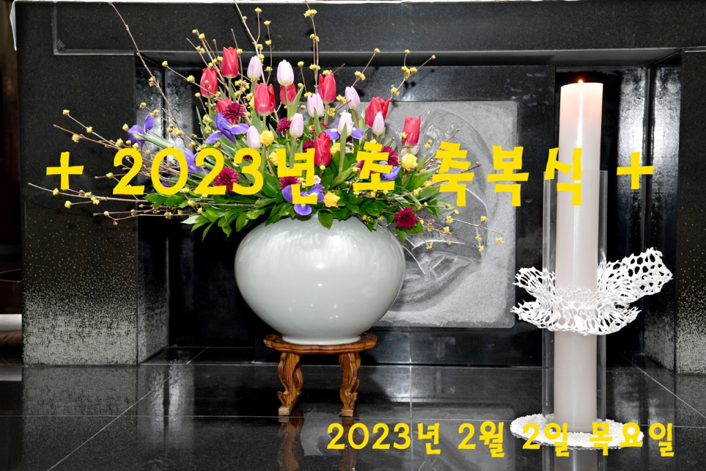 DSC_8107f.jpg