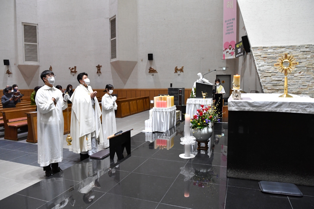 DSC_8233f.jpg