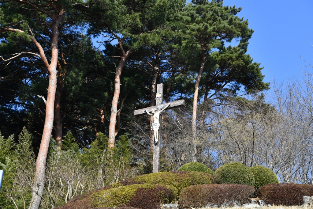 DSC_9183.JPG