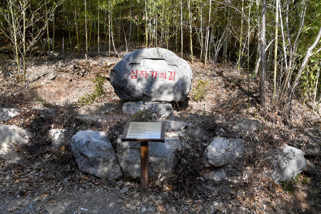 DSC_9428.JPG