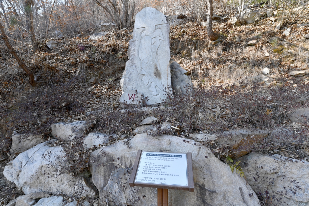 DSC_9458.JPG