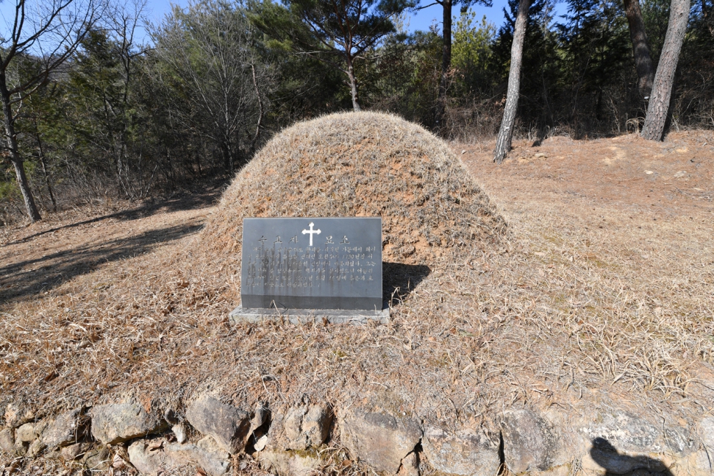 DSC_9420.JPG