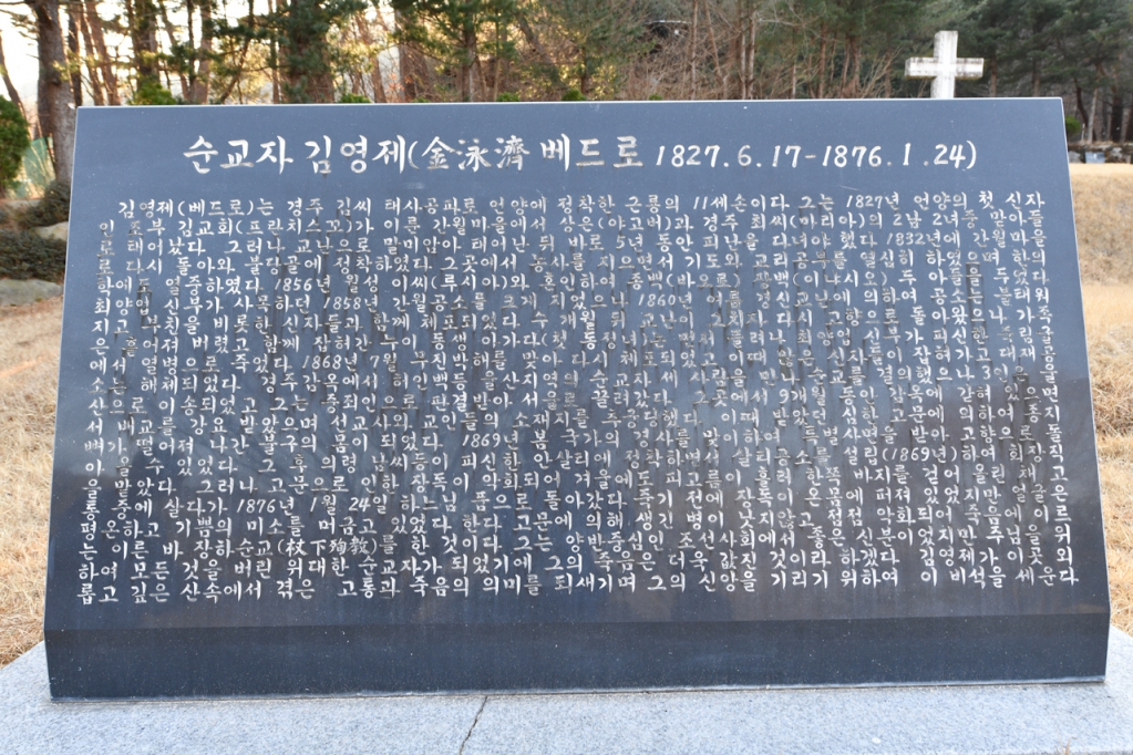 DSC_9626.JPG