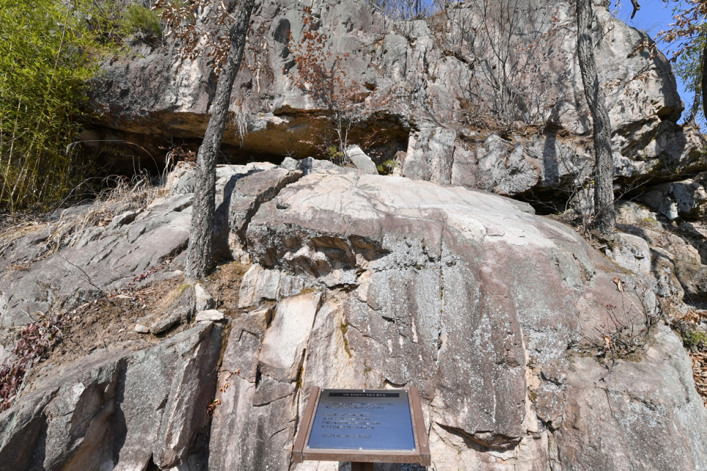 DSC_9504.JPG