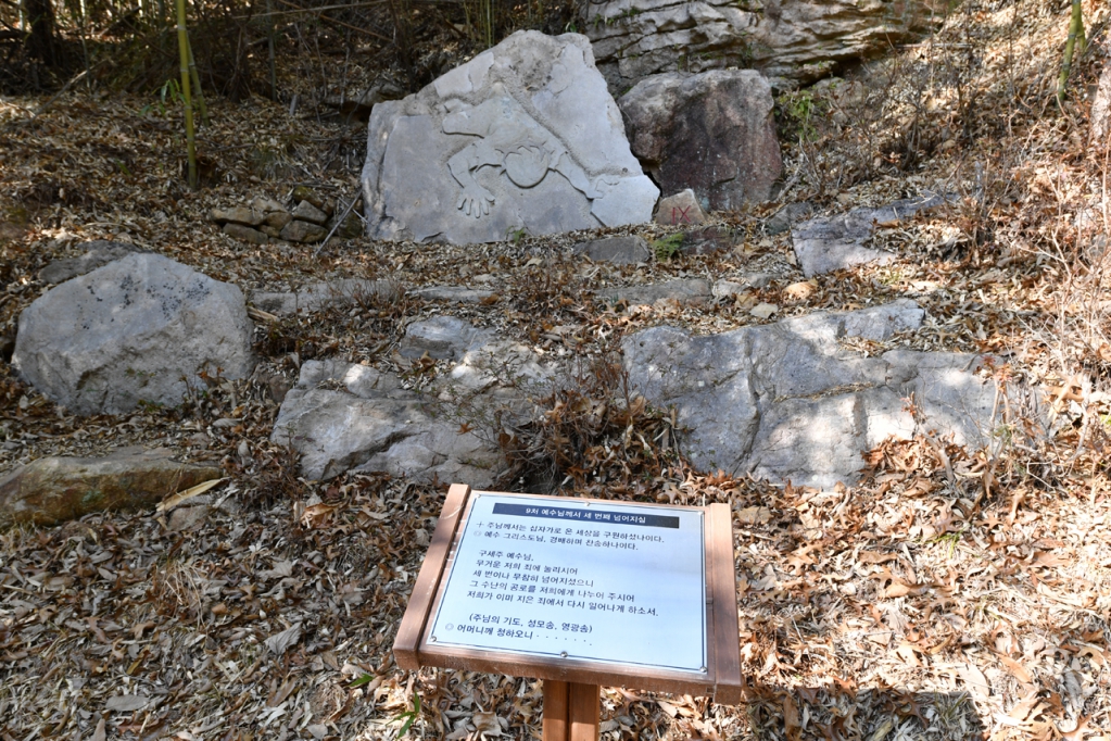 DSC_9471.JPG