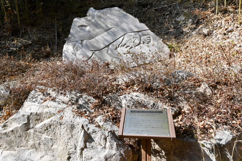 DSC_9462.JPG