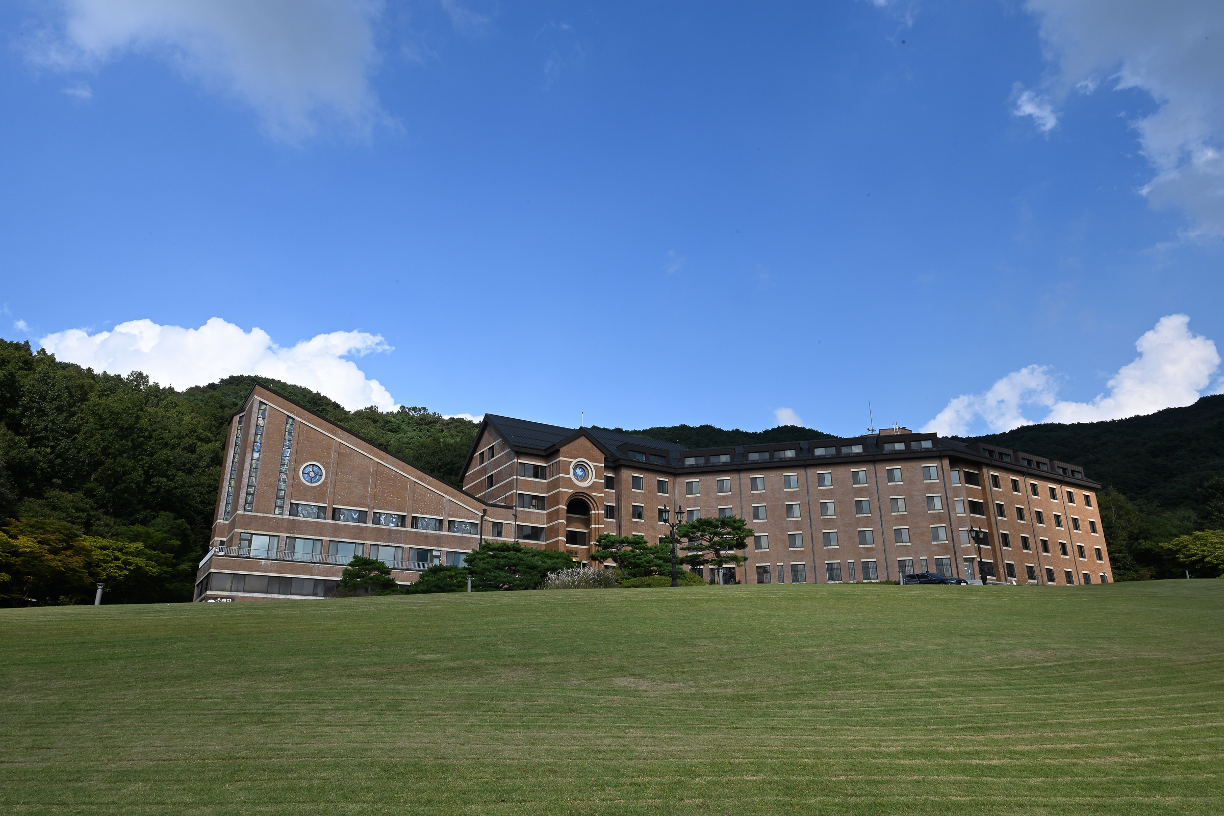 DSC_7110.jpg