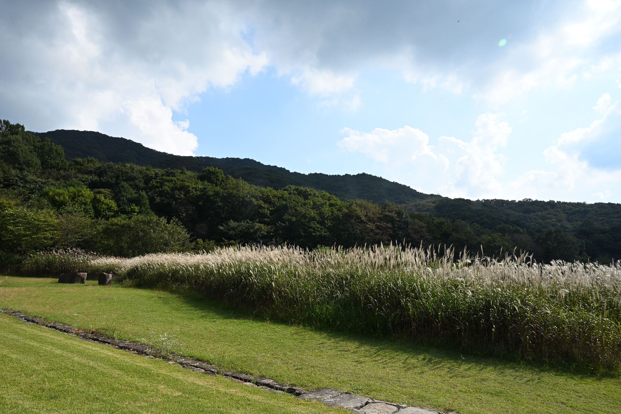 DSC_7078.jpg