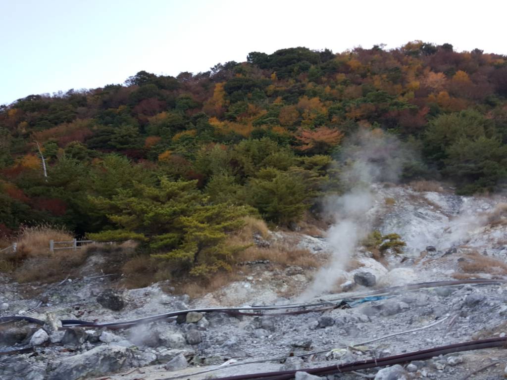 20181107_072107.jpg