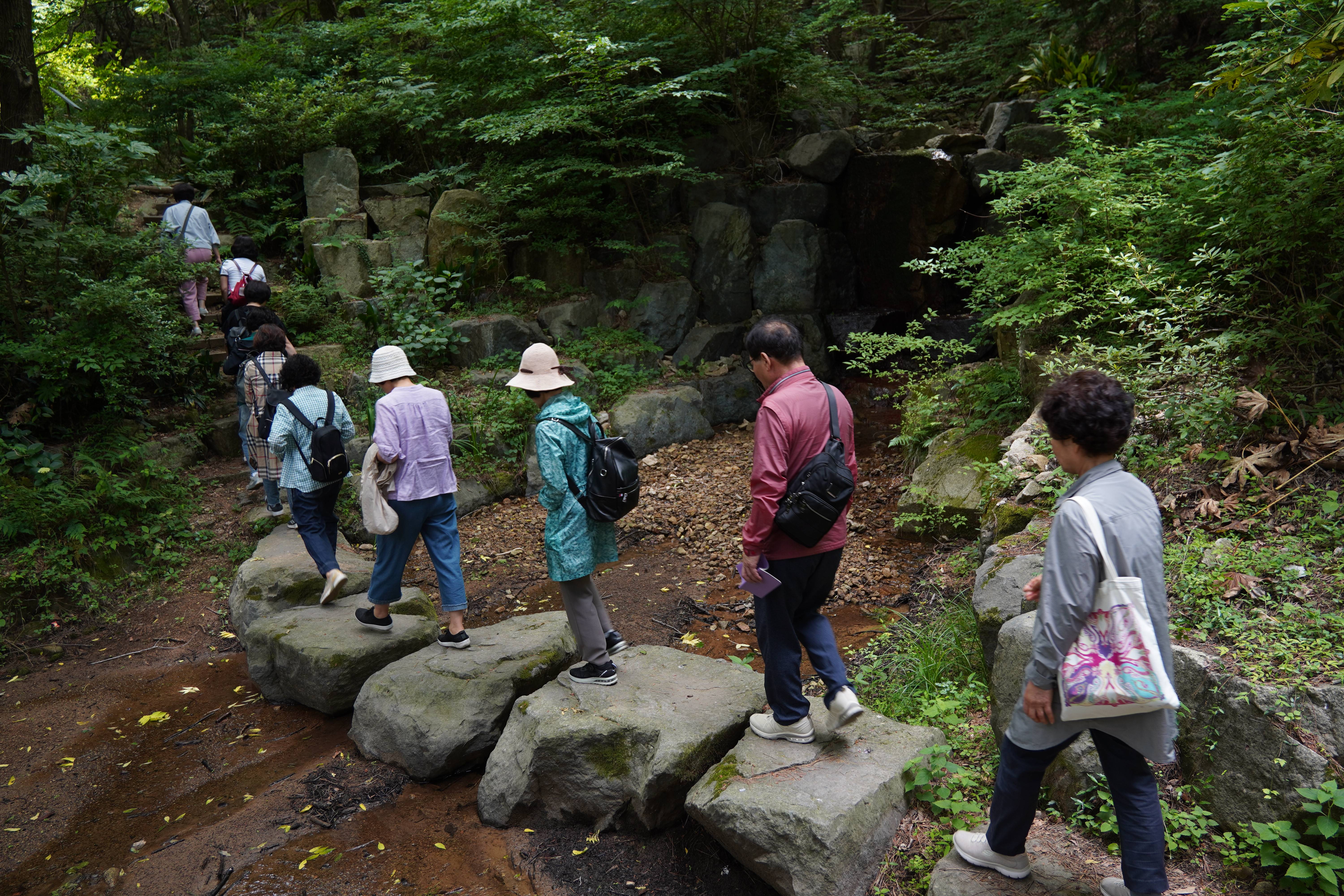 DSC05788.JPG