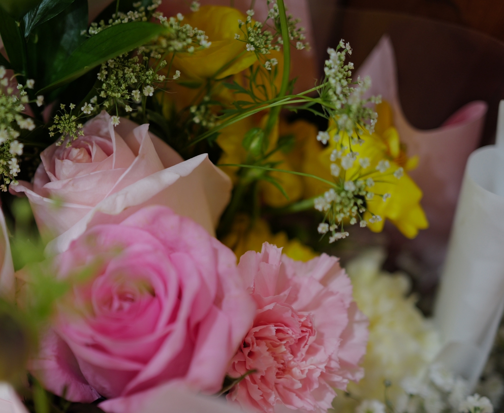 L1006705.jpg