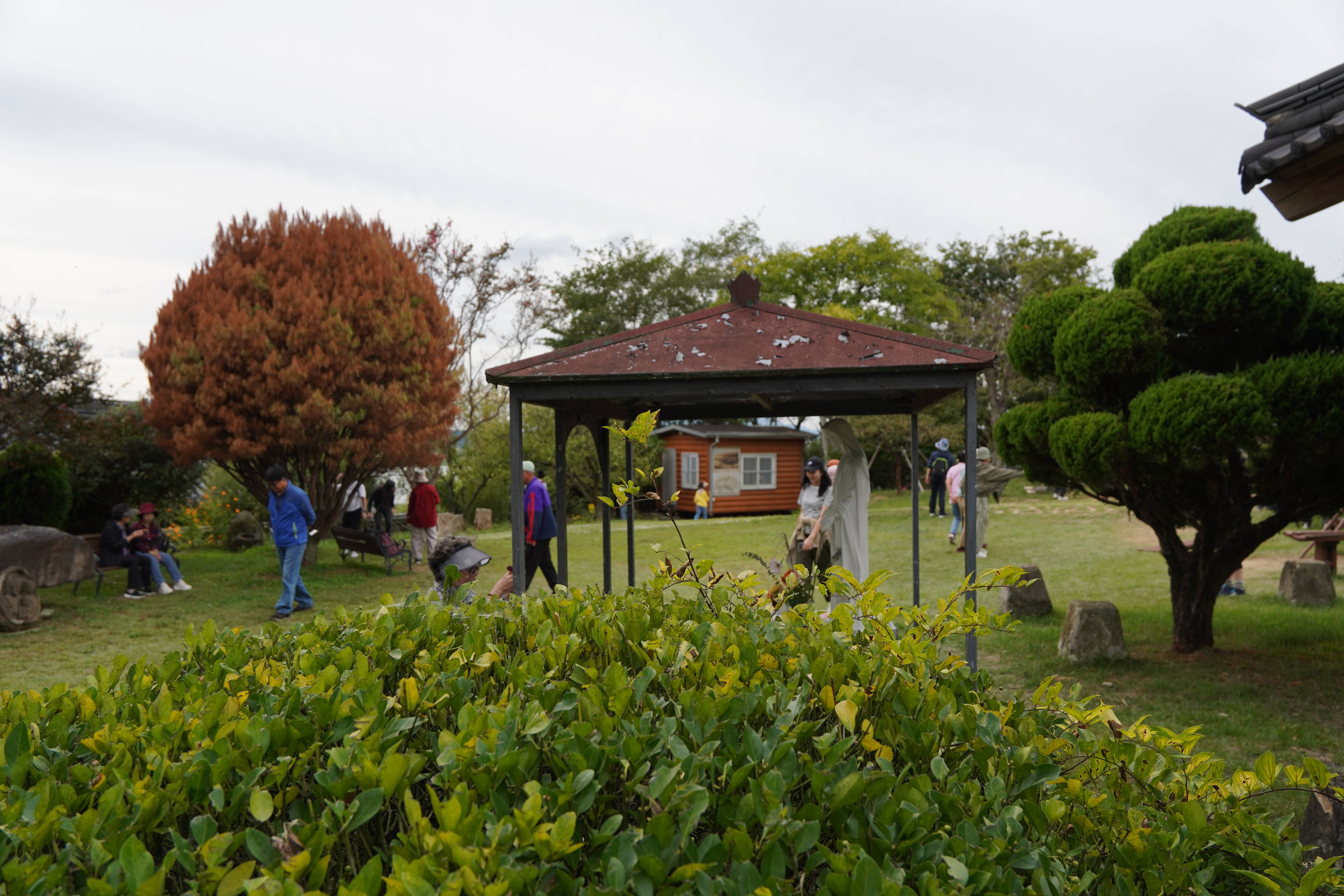 DSC06069.JPG