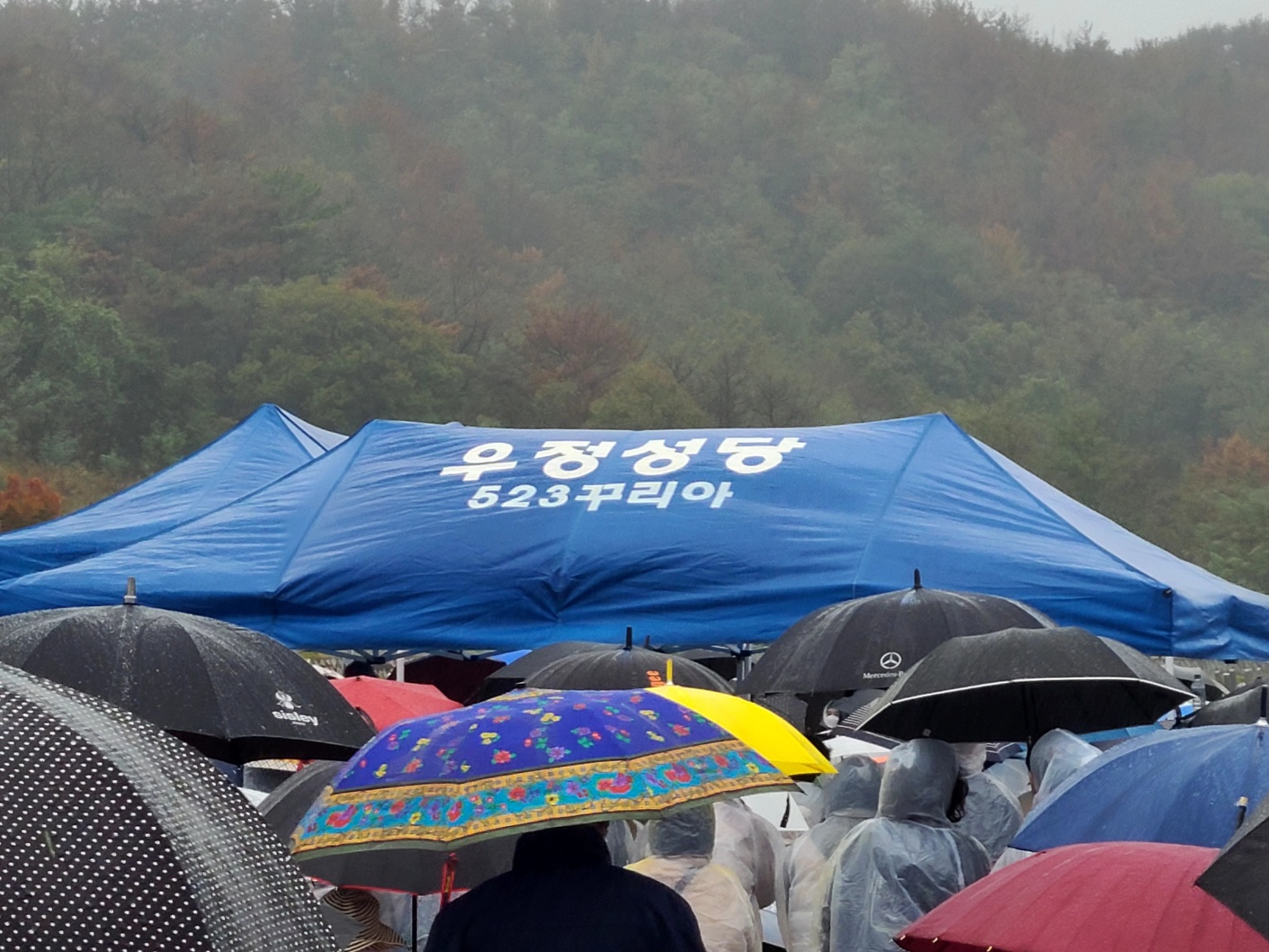 1730543191619.jpg