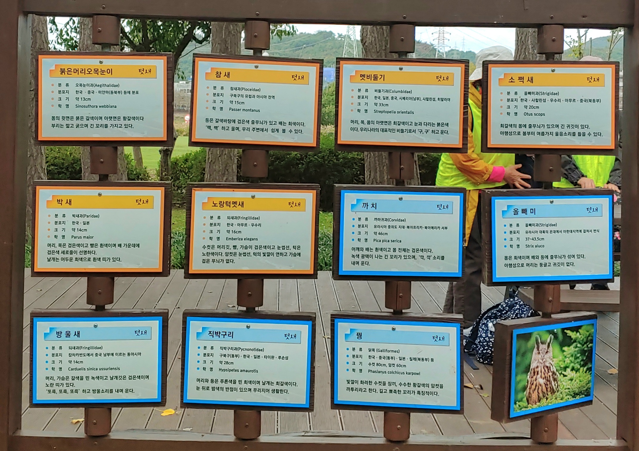 1729217024705-1.jpg