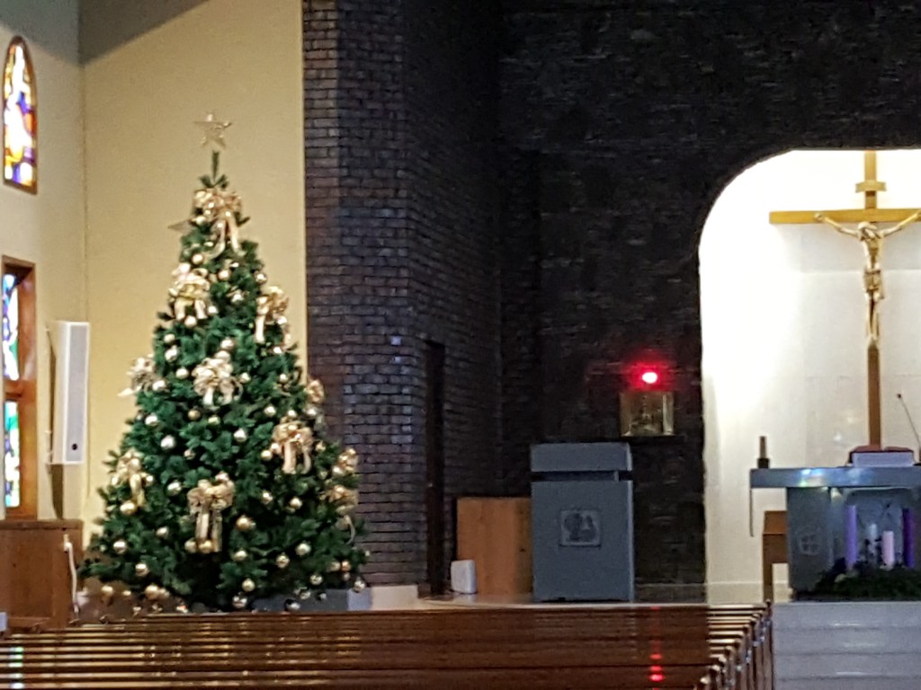 20171212_134141.jpg