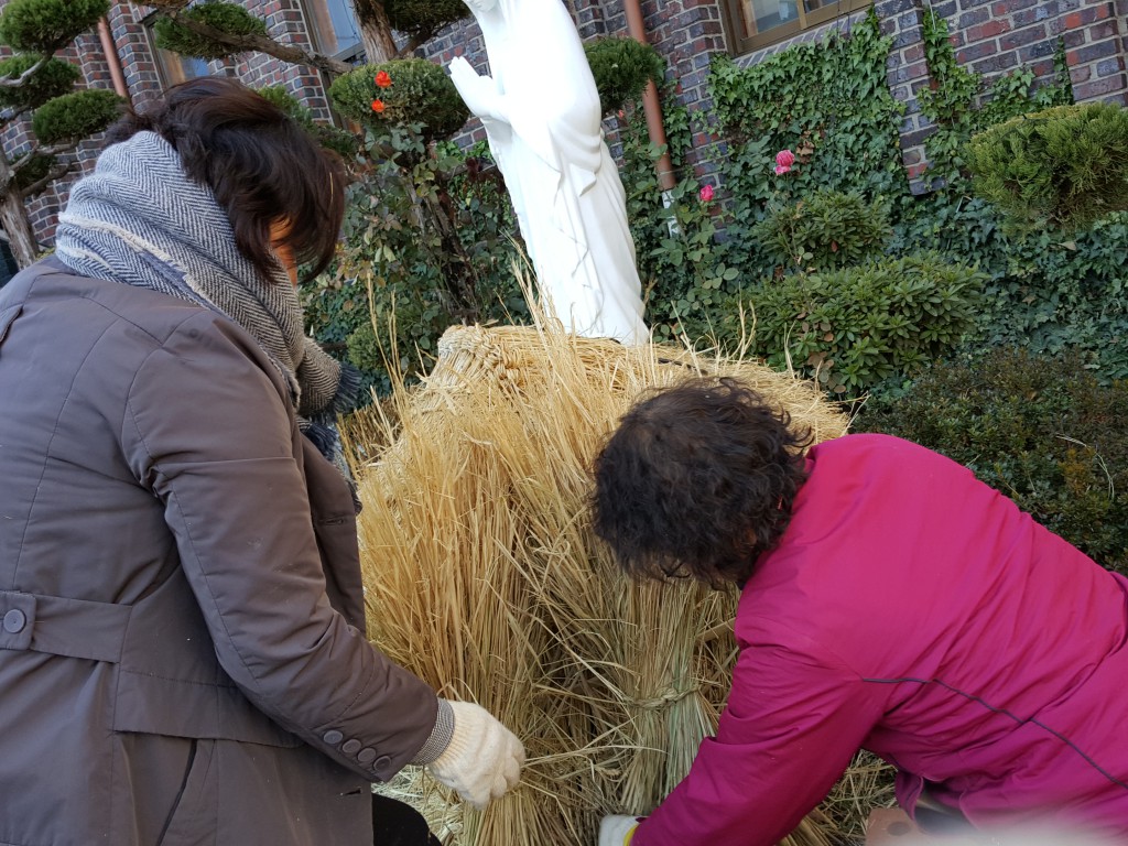 20171212_120531.jpg