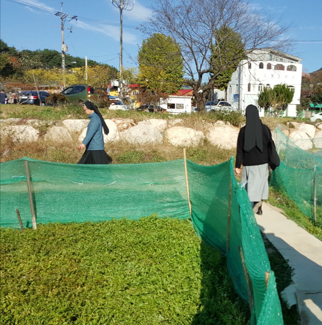 20171101_154745.jpg