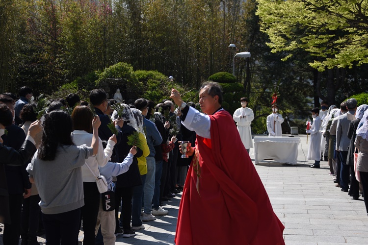 DSC_4558.JPG