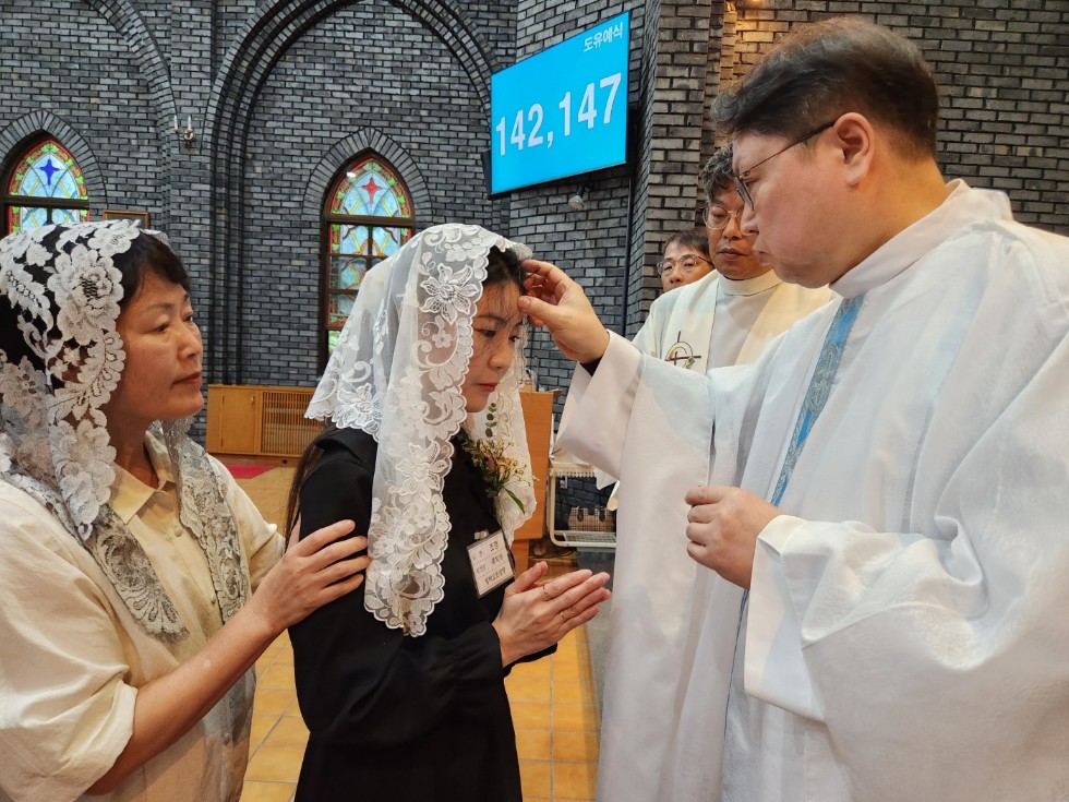 1738071264347-1.jpg