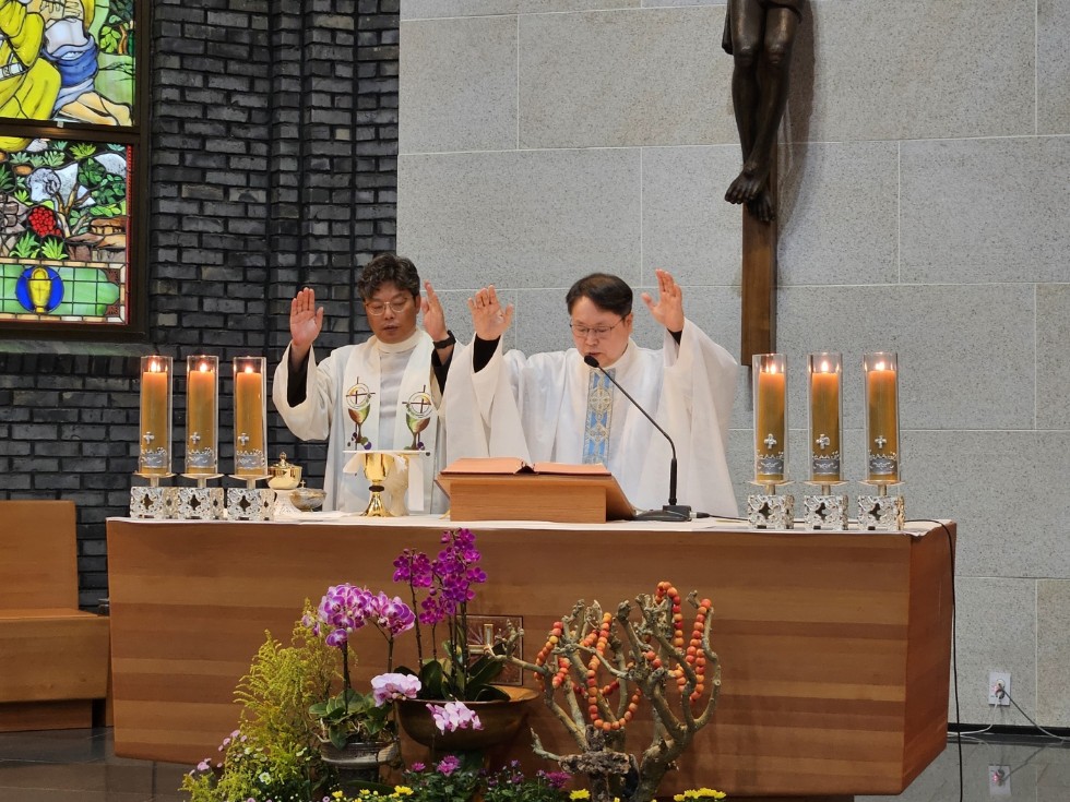 1738071264347-24.jpg