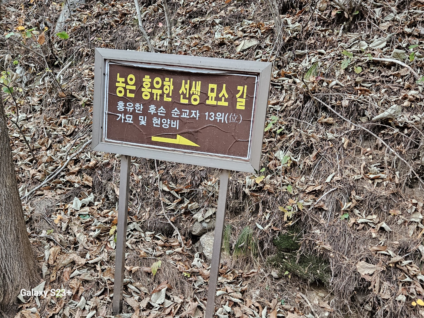 1699437637327.jpg