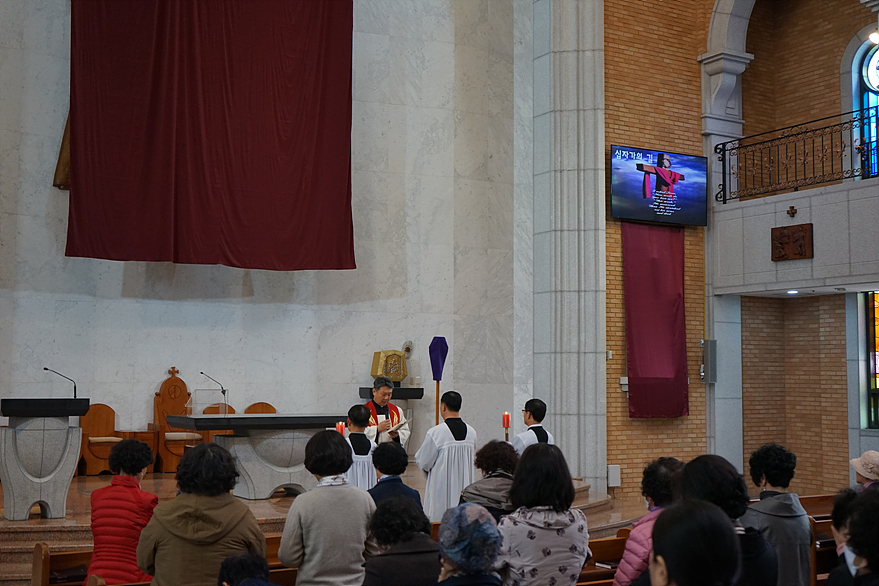 DSC05144.jpg