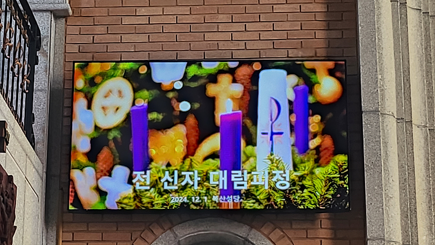 1733045582077.jpg