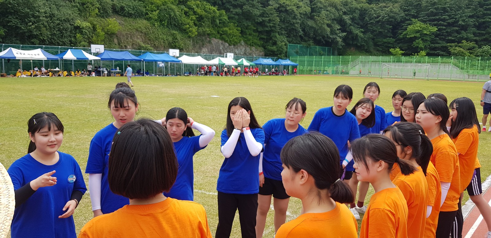 20190602_140905-1600x777.jpg