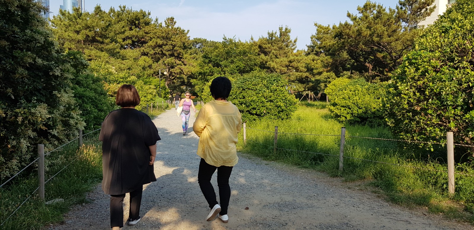 20190605_172358-1600x778.jpg